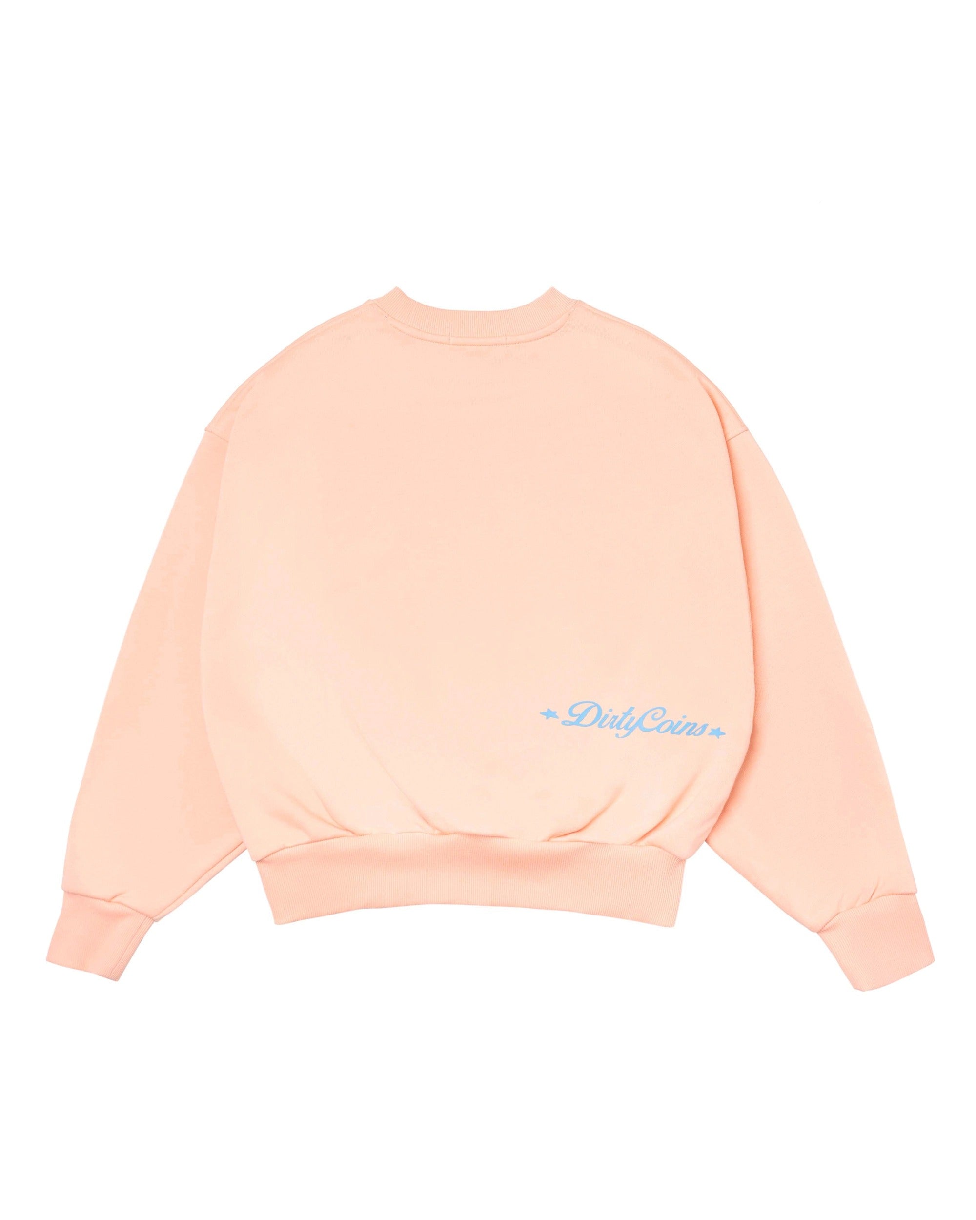 DCxRS Big Logo Printed Sweatshirt Orange