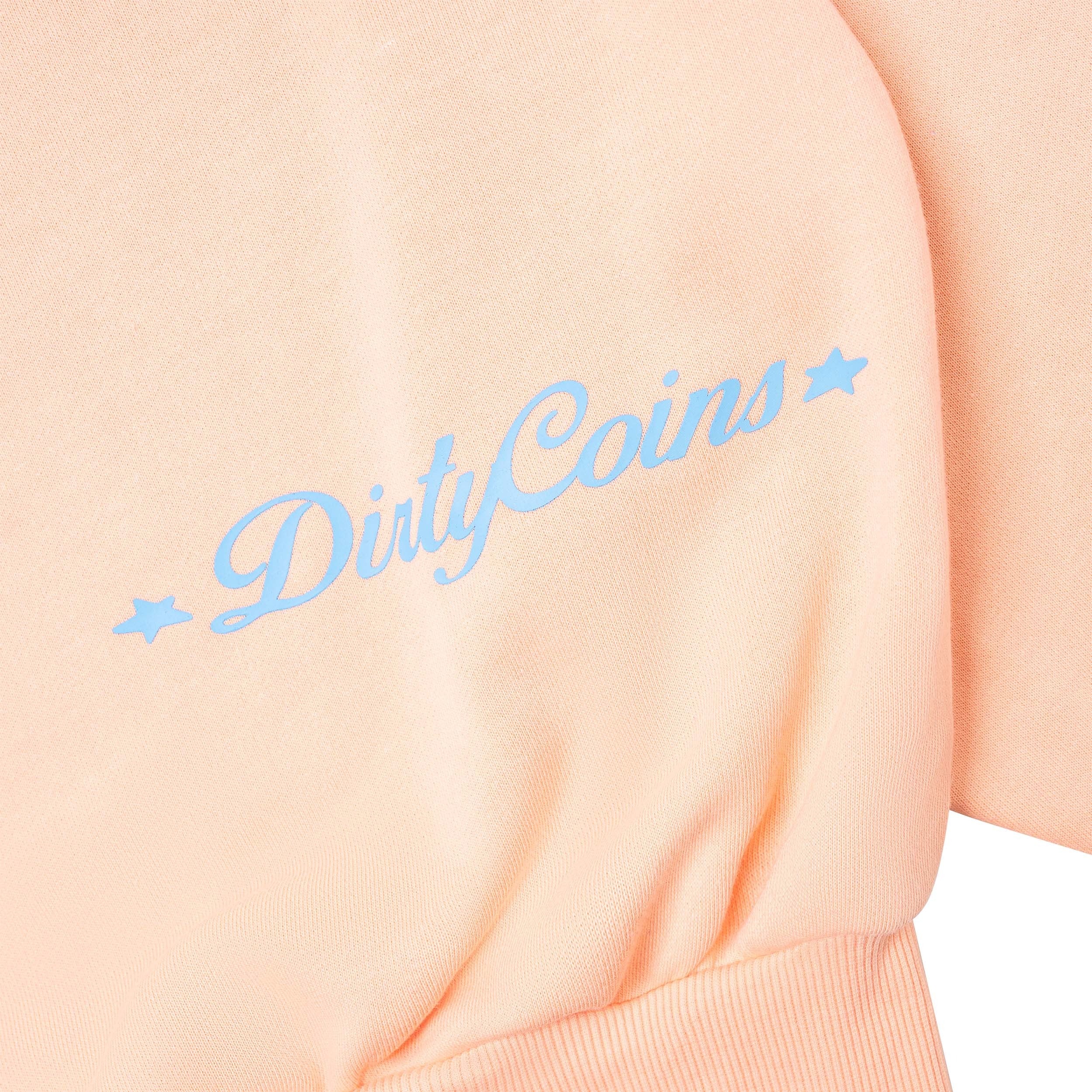 DCxRS Big Logo Printed Sweatshirt Orange